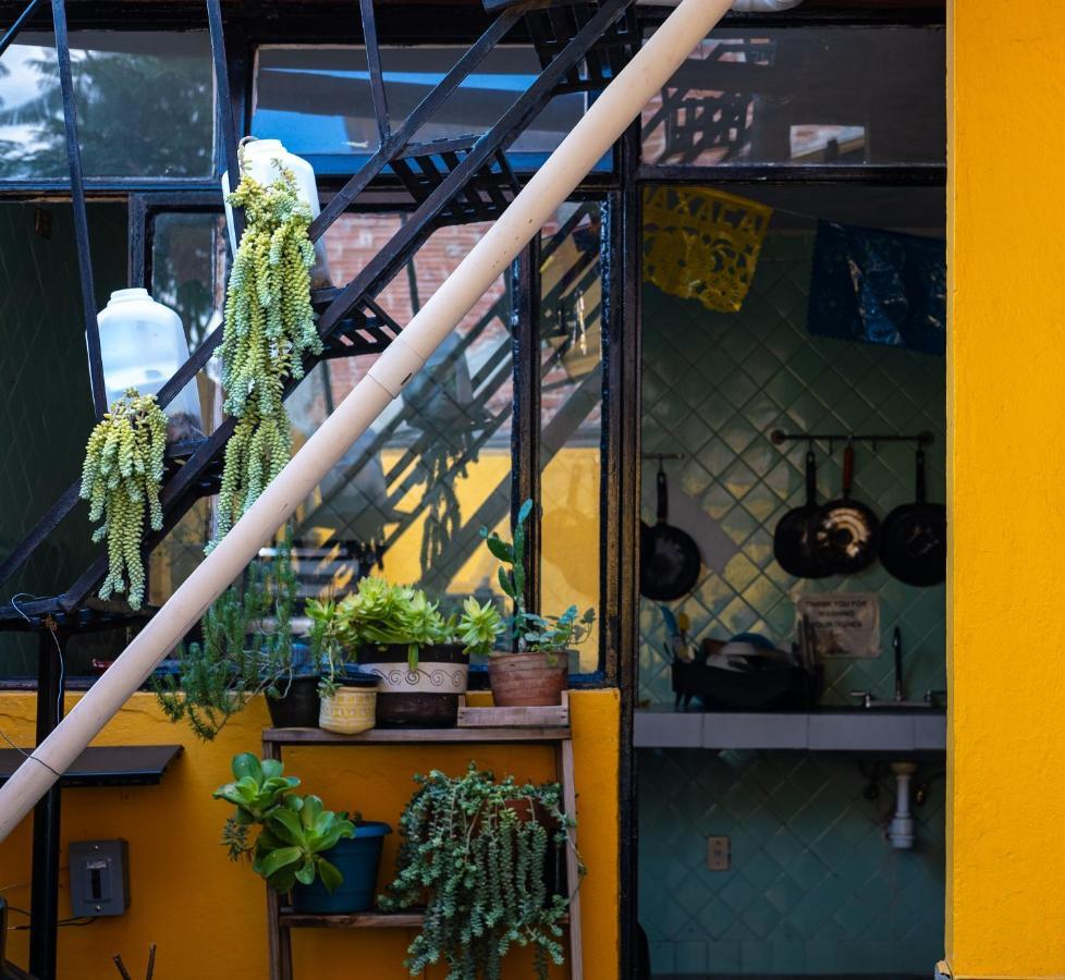 Hostal Pochon Oaxaca Екстериор снимка