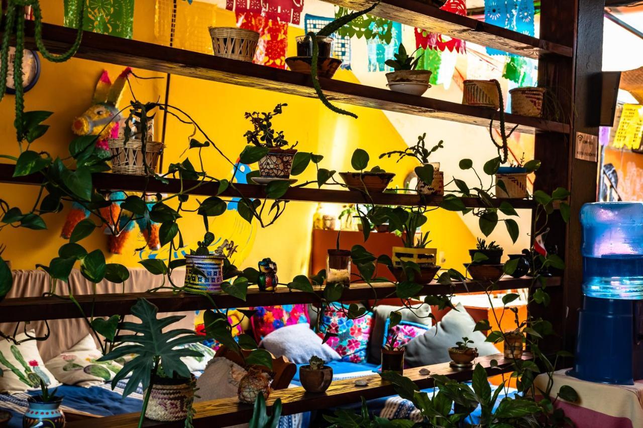 Hostal Pochon Oaxaca Екстериор снимка